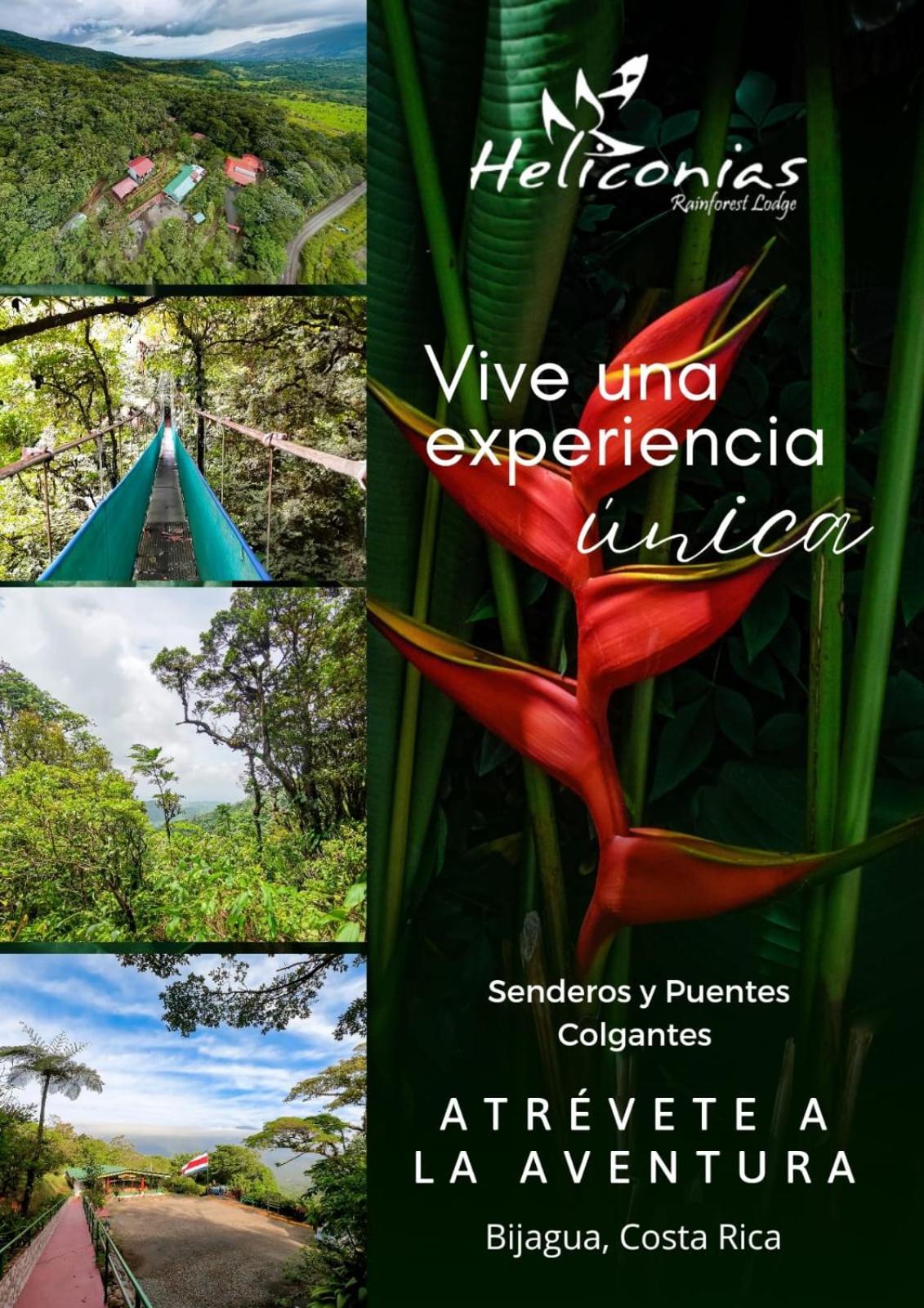 Heliconias Rainforest Lodge Bijagua Exterior foto