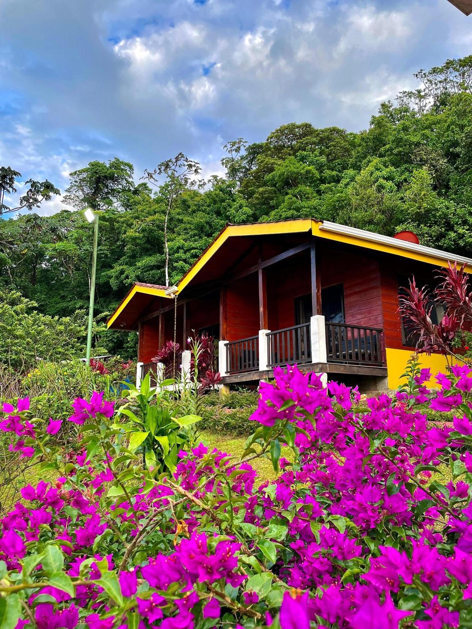 Heliconias Rainforest Lodge Bijagua Exterior foto