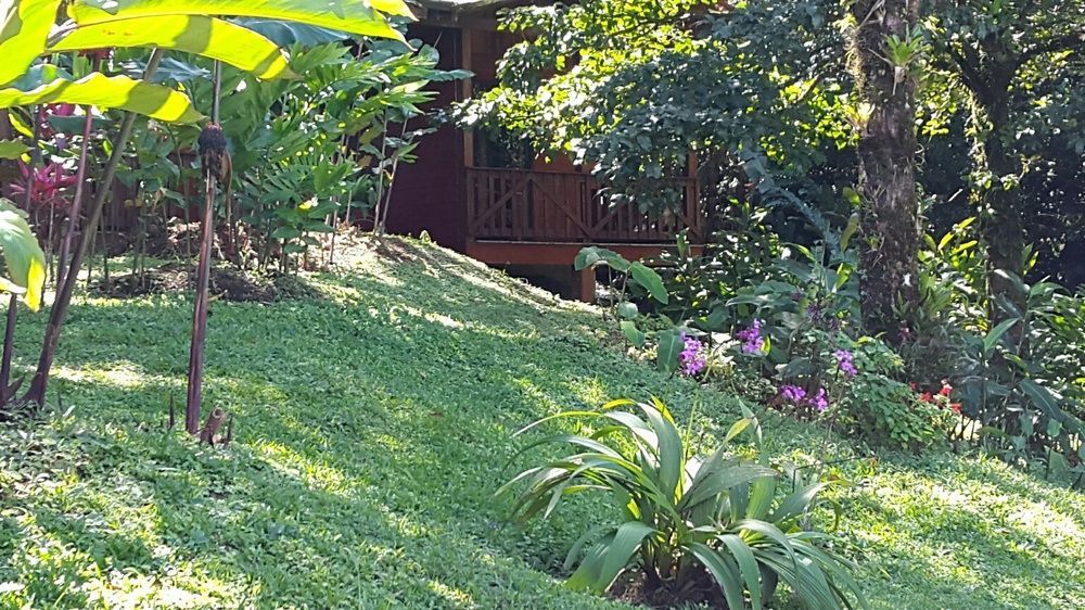 Heliconias Rainforest Lodge Bijagua Exterior foto